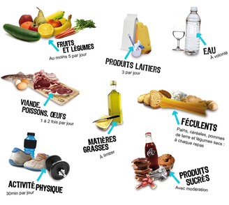 equilibre alimentaire schema recommandations